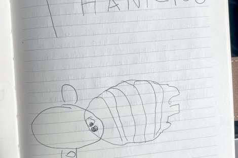 Review img # 31 of the yacht OCEAN VIBES