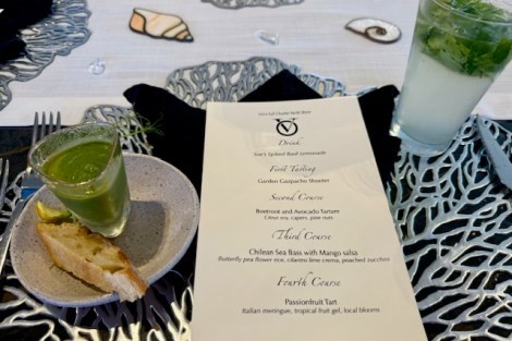 Review img # 27 of the yacht OCEAN VIBES