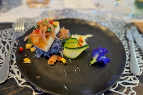 Review img # 28 of the yacht OCEAN VIBES